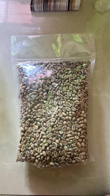Biji Kopi Specialty Aceh Gayo
